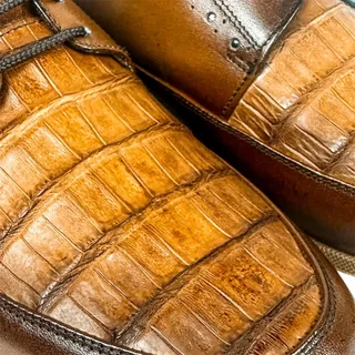 CAIMAN, vista adicional