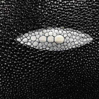 CARTERA MANTARRAYA, vista adicional